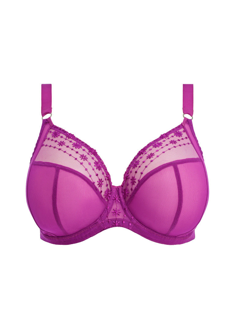 Elomi Matilda Plunge Bra EL8900 - HOLLYHOCK