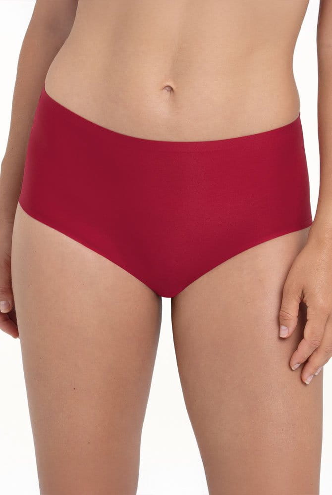 Anita Essential High Waisted Brief 1343
