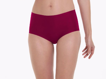 Anita Essential High Waisted Brief 1343