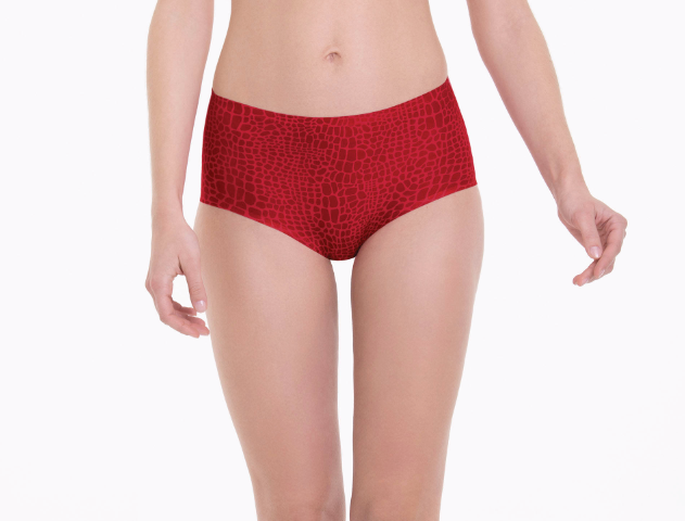 Anita Essential Art High Waist Panty- 1346