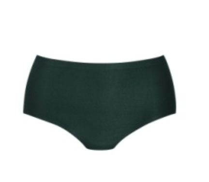 Anita Essential High Waisted Brief 1343