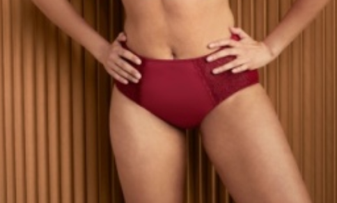 Anita Havanna High-Waist Briefs 1512