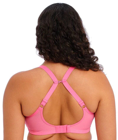 Matilda Plunge Bra - Wild Cherry EL8900