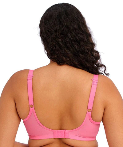 Matilda Plunge Bra - Wild Cherry EL8900