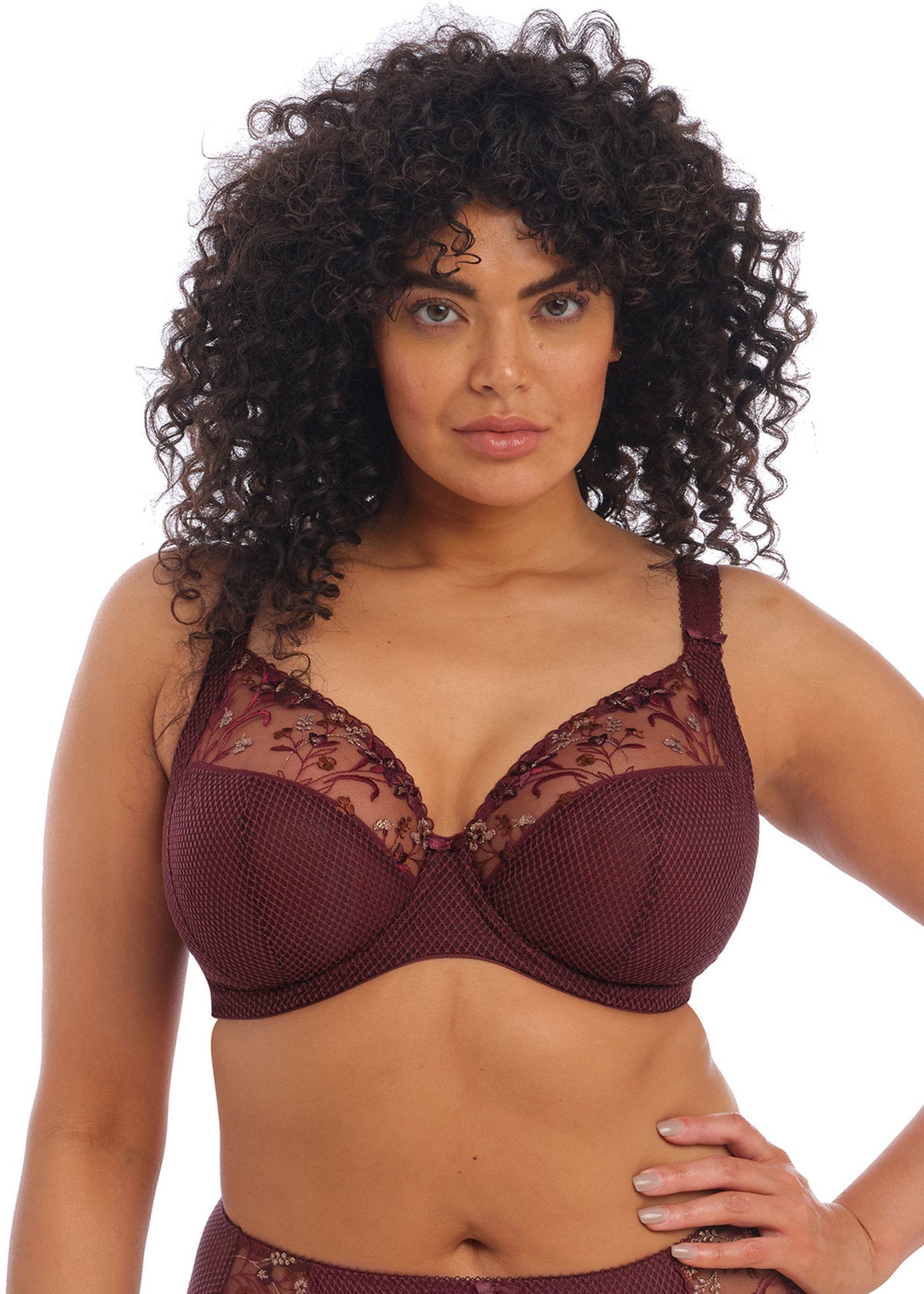 Elomi Charley Plunge Bra - Aubergine