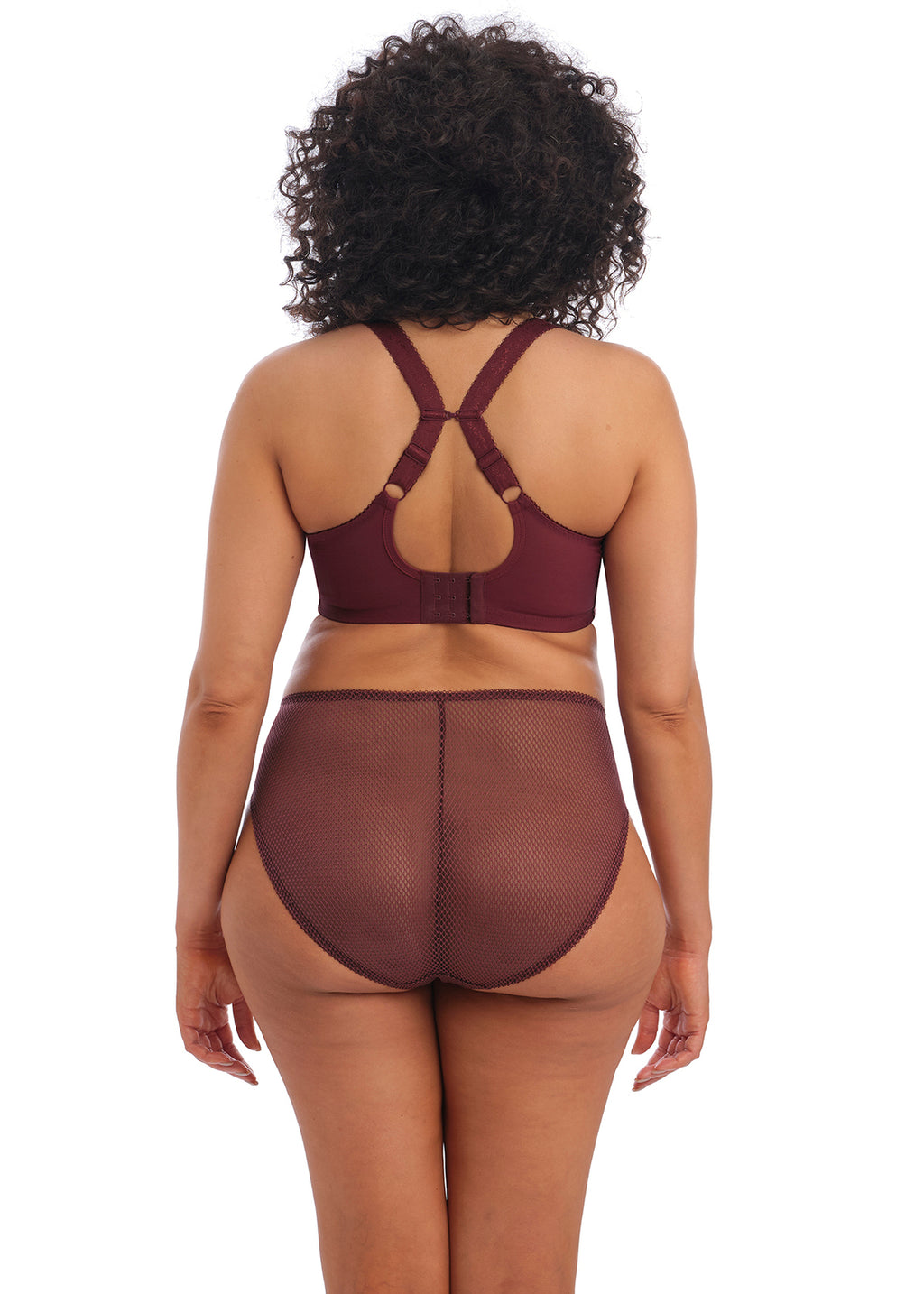 Elomi Charley High Leg Brief - Aubergine