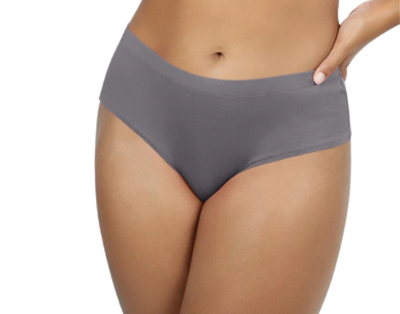 Parfait Cozy Hipster Panty PP504