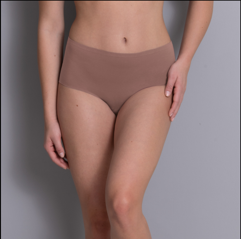 Anita Essential High Waisted Brief 1343