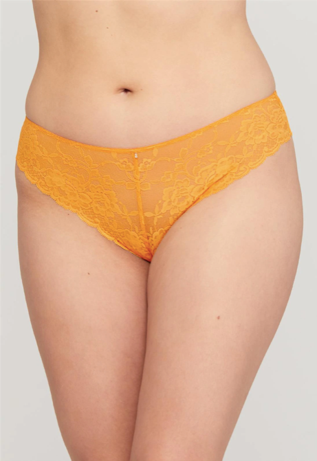 Montelle Brazilian Lace Panty 9001