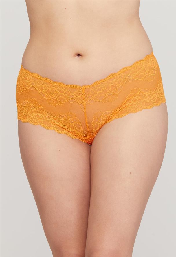 Montelle Lace Cheeky Panty 9000